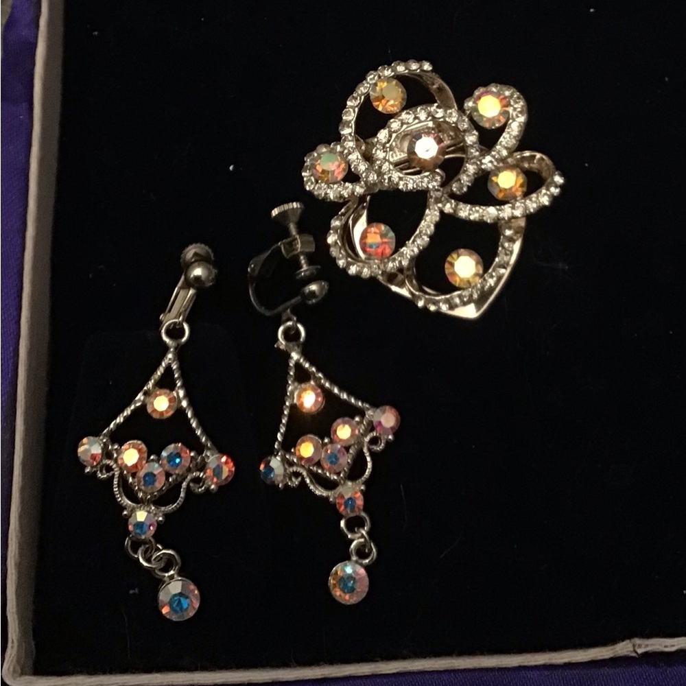 Fancy Earings w/  matching clip